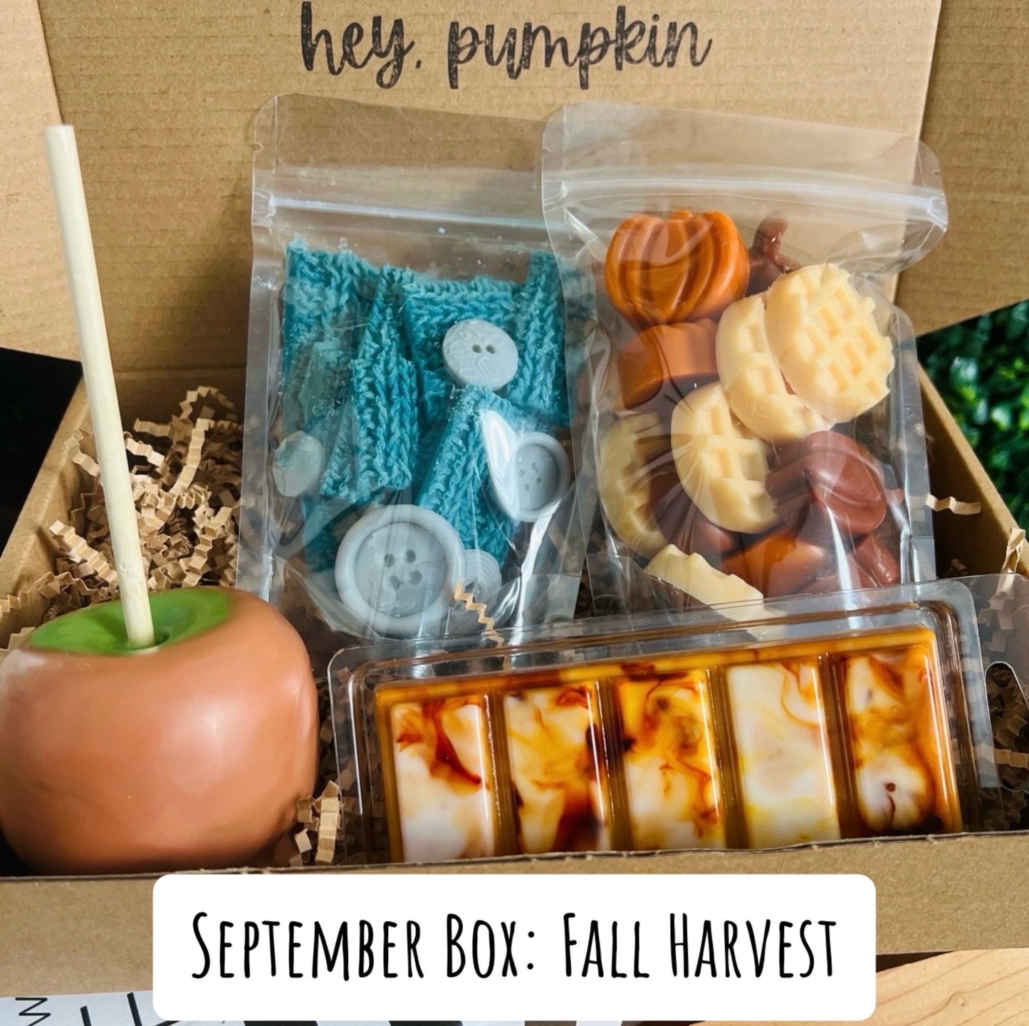 "Hey Pumpkin" Wax Melt Subscription Box (Shipping Included)